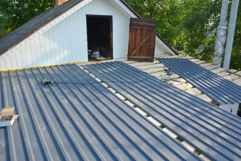 Common Signs You Need Professional Metal Roof Repair